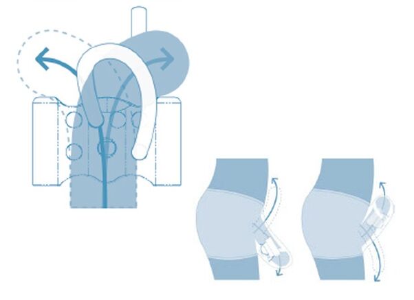 sistema reprodutor adolescente
